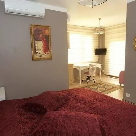 Galatolia 호텔